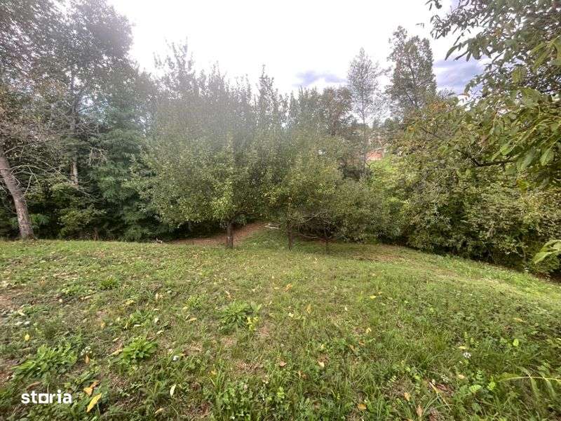 Teren de Vanzare - Imagine principală: 5/8