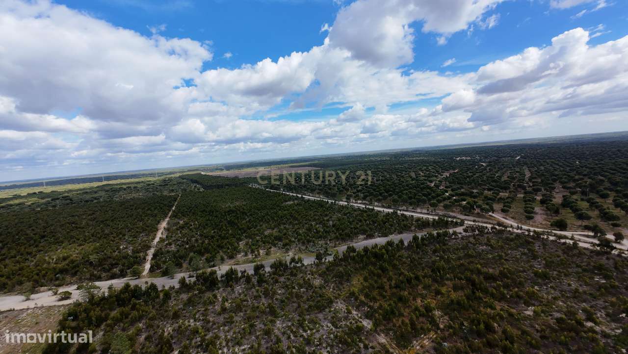 Magnifica Herdade Turística   em Santo Estêvão, Benavente-1
