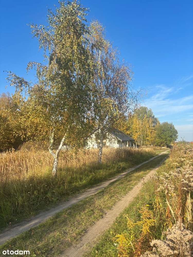 Działka budowlana Wyględy gm. Leszno-3