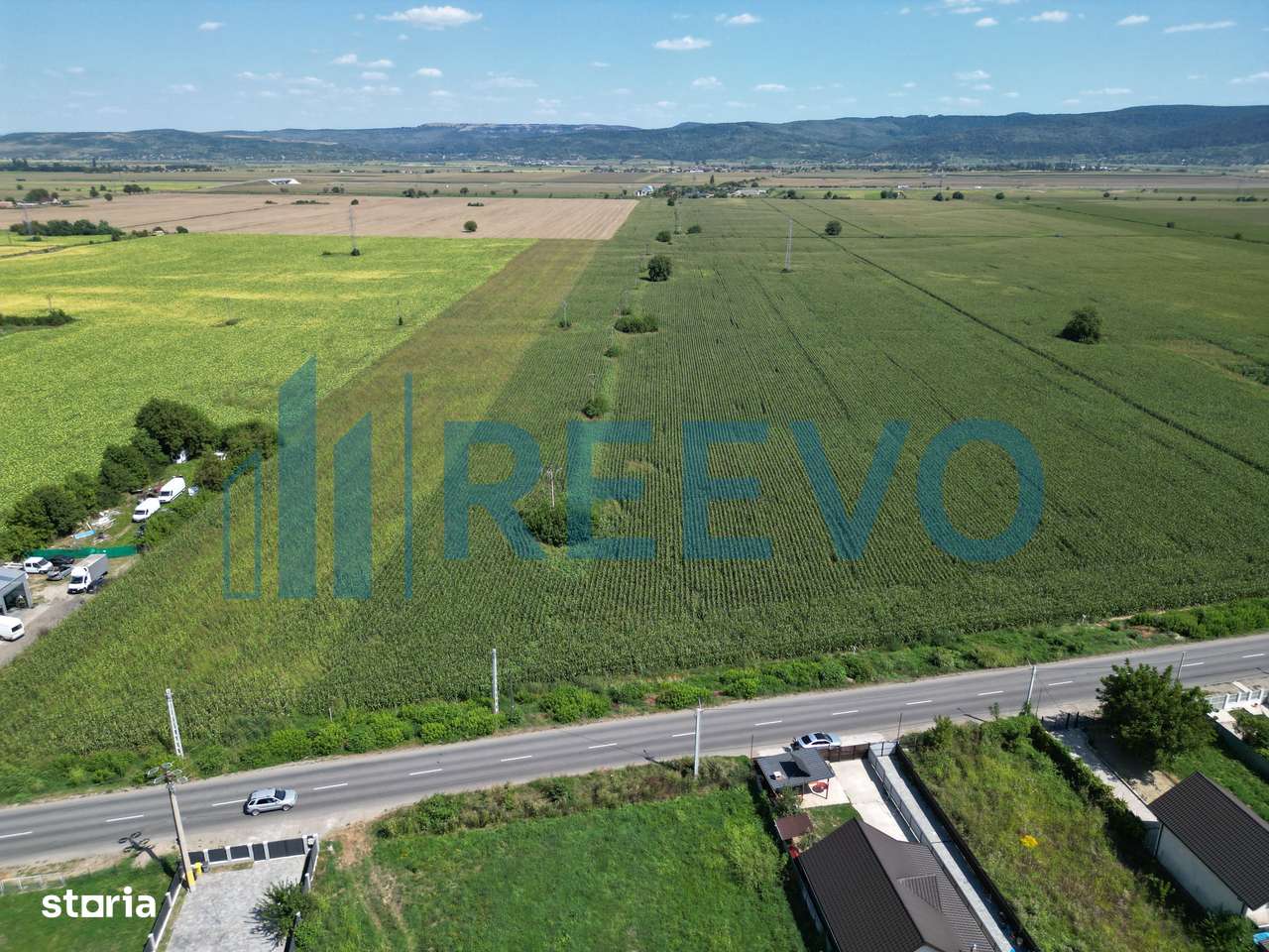 Teren de vânzare, Letea Veche, Jud. Bacău - Imagine principală: 2/8