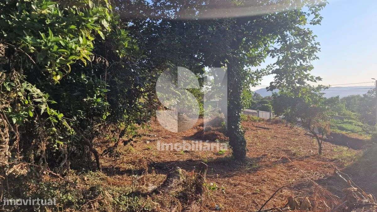 Terreno - potencial de investimento - Astromil - Paredes-42