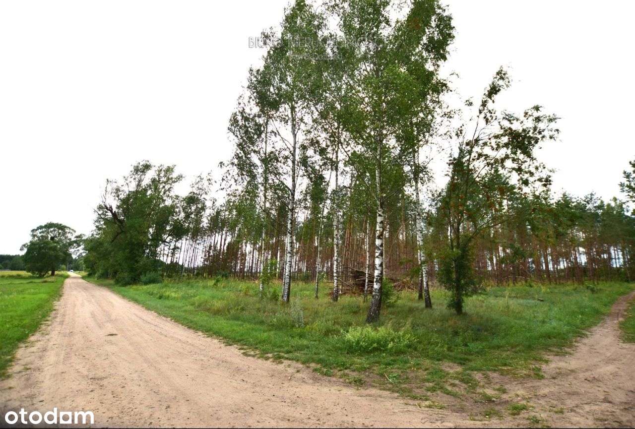 Działka 6,98 ha, Szafranki Mpzp turystyka - Pełny obrazek: 5/10