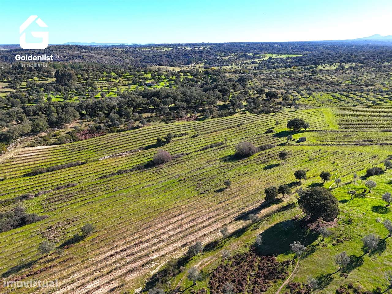 Herdade  Venda em Espírito Santo, Nossa Senhora da Graça e São Simão,N-14