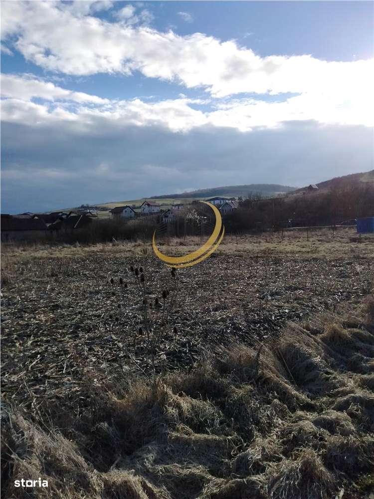 TEREN 1050 MP STR VOINICENILOR-8