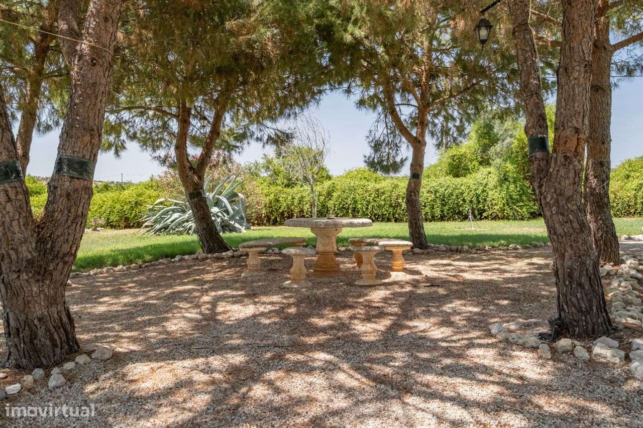 Quinta | Venda | ALENTEJO-41