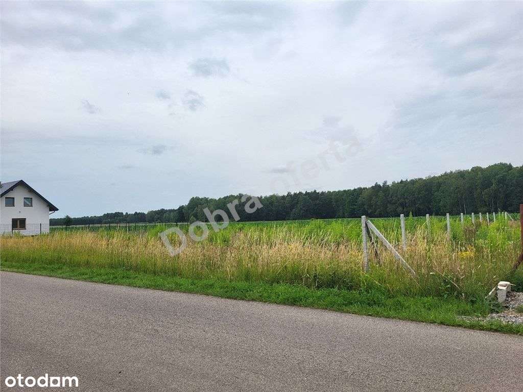 Oferta doskonała dla rodziny-1