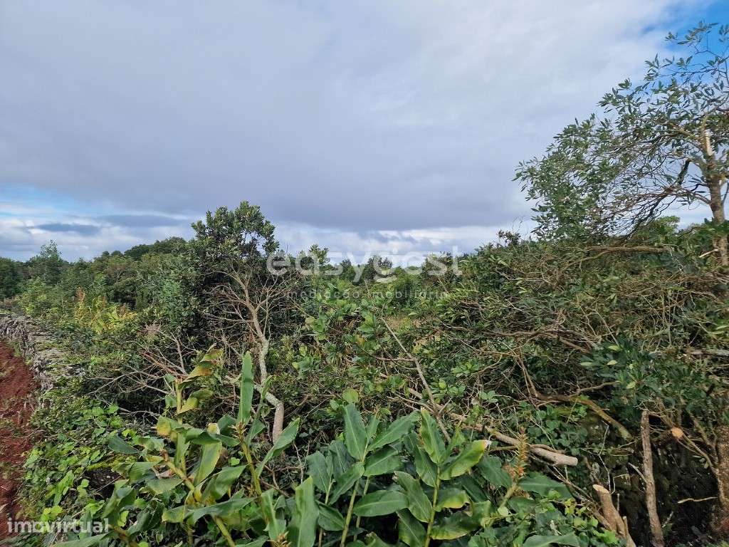 Terreno nas Bandeiras, Ilha do Pico, para construção da sua casa - Grande imagem: 4/16