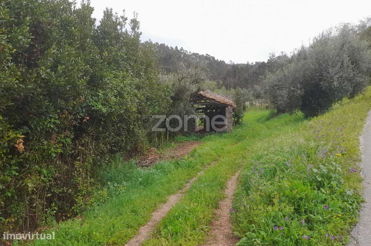 Terreno Rustico - Grande imagem: 5/25