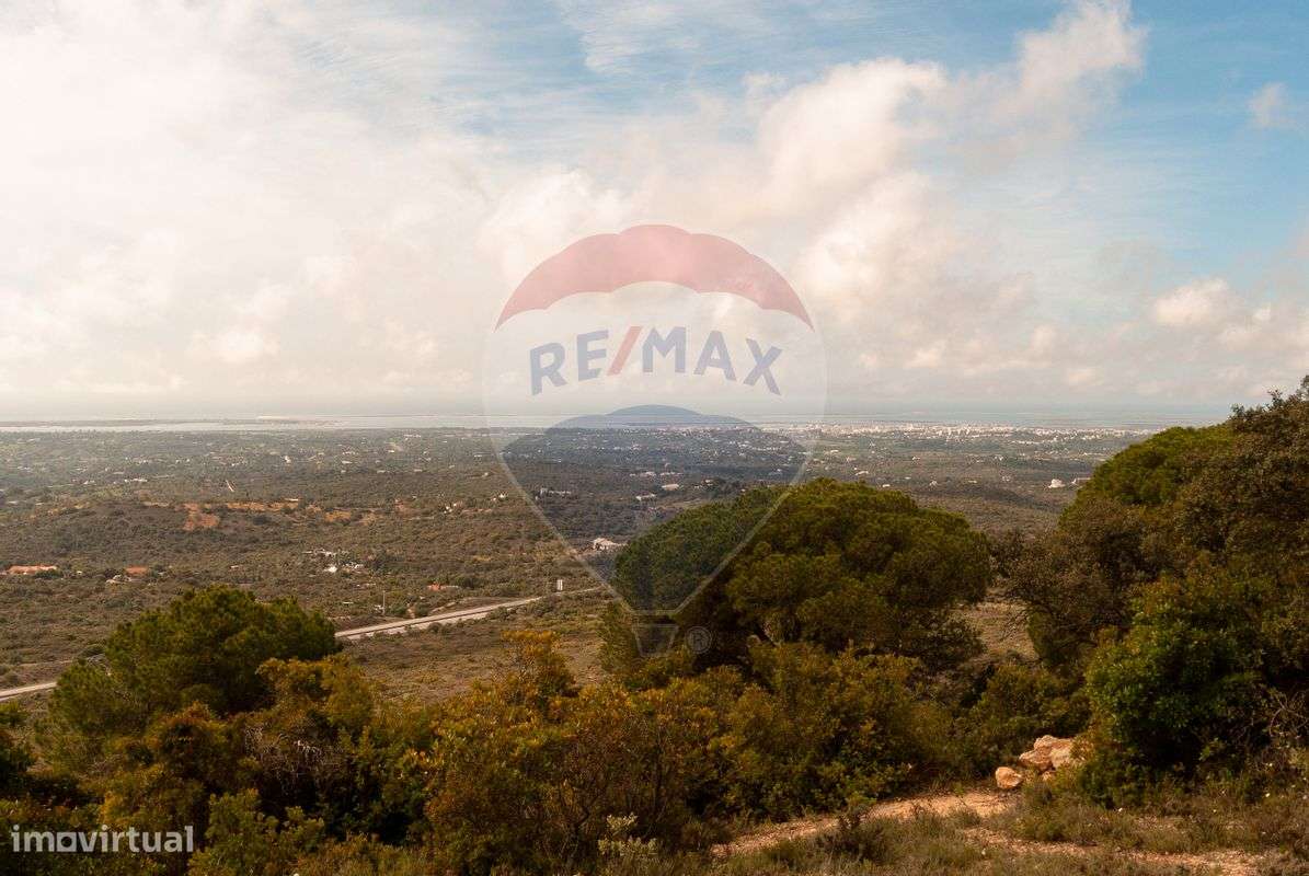 Terreno  para venda - Grande imagem: 5/29