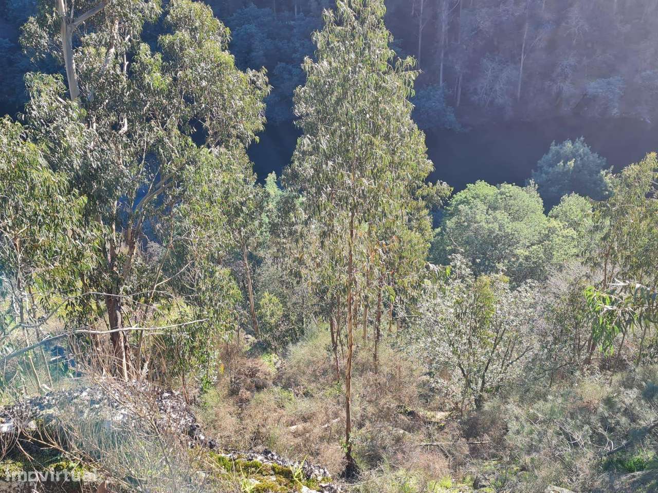 Quinta das Fontainhas, Rio de Moinhos, Penafiel-33