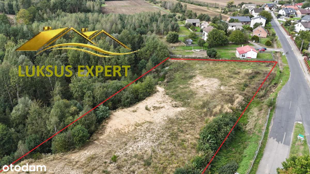 Łaszew Rządowy-działka z potencjałem - Pełny obrazek: 3/7