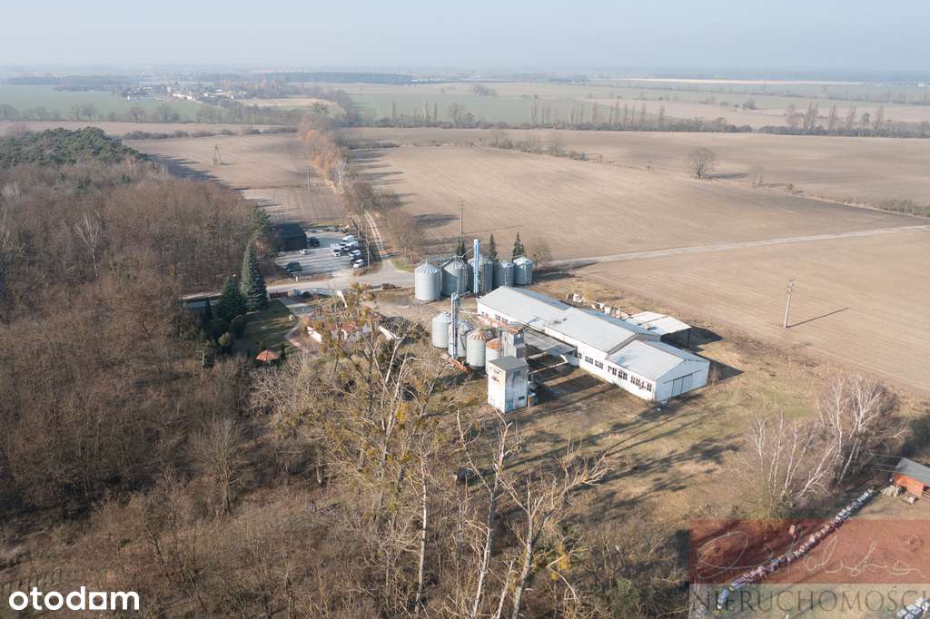 Z potencjałem przy drodze 187 i obwodnicy Szamotuł-4