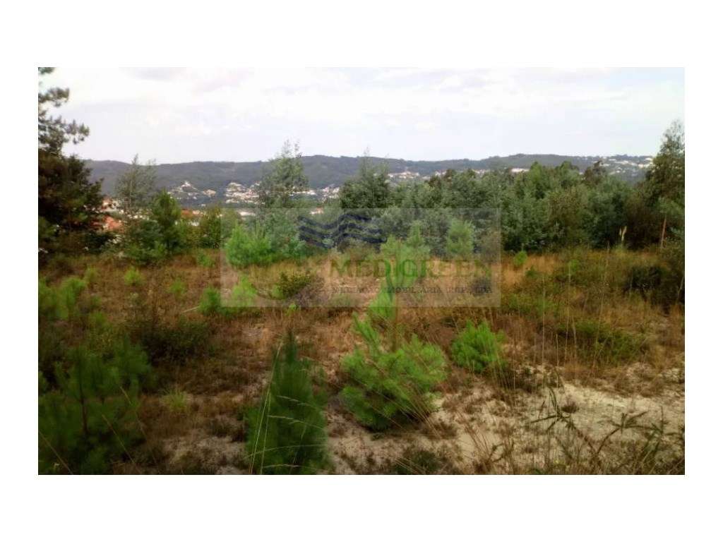 TERRENO RÚSTICO DE 4.000 m2 COM 900 m2 DE ÁREA DE CONSTRUÇÃO EM CEDRIM - Grande imagem: 4/7