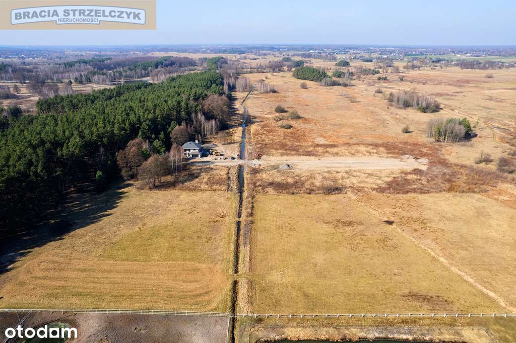 Działka z lasem pod Warszawą - Pełny obrazek: 5/15