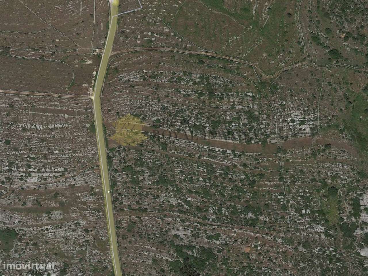 Terreno com 43000 m2 em Alcanena - Santarém - Grande imagem: 4/4