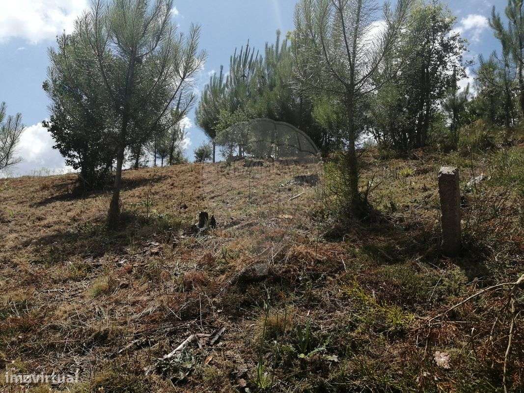 Terreno  para venda - Grande imagem: 5/7