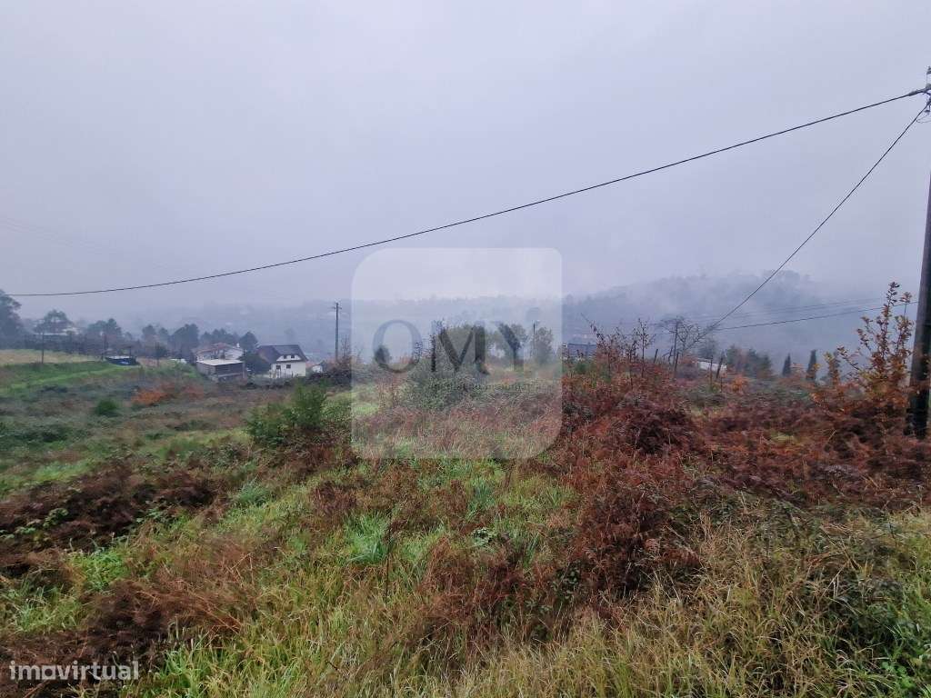 Terreno de 8.000m2 para Construção de Habitação em Altura - Grande imagem: 4/6