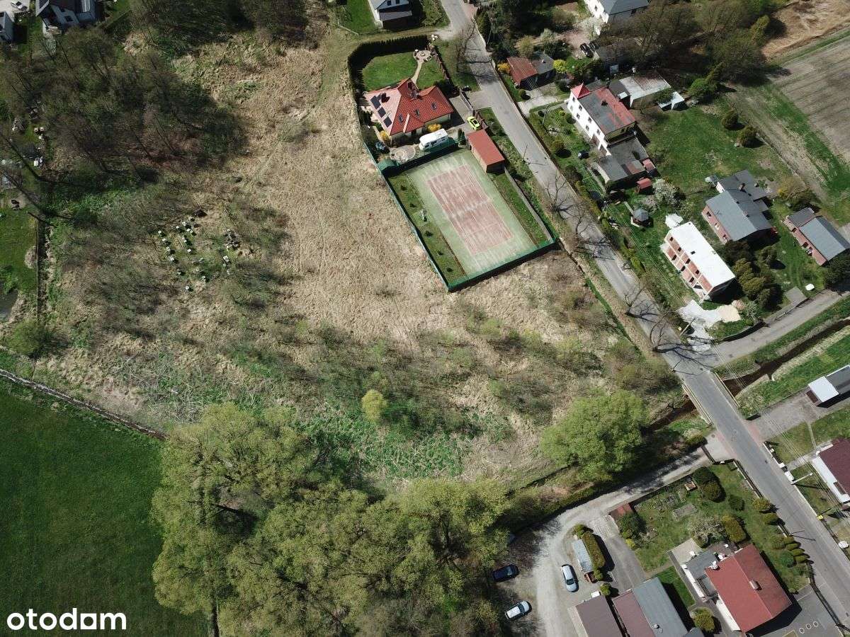 Dla inwestora / Paniowy - Pełny obrazek: 3/5