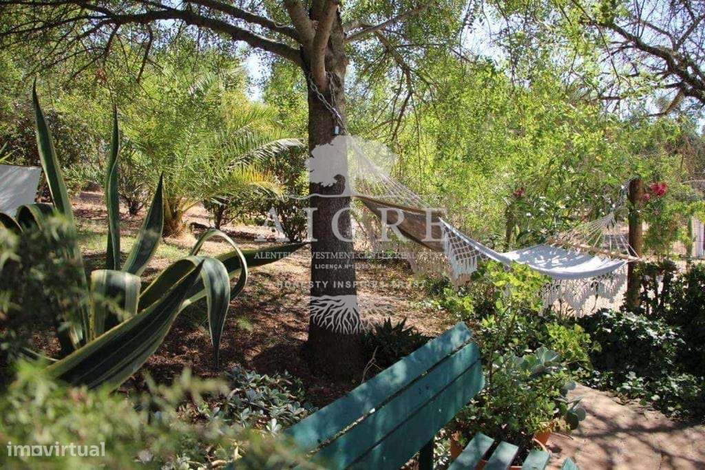 Quinta com 16 Ha com 4 moradias e piscina- Ideal para habitação, inves - Grande imagem: 4/18