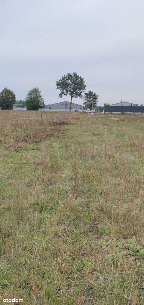 Działka budowlana z warunkami zabudowy-0