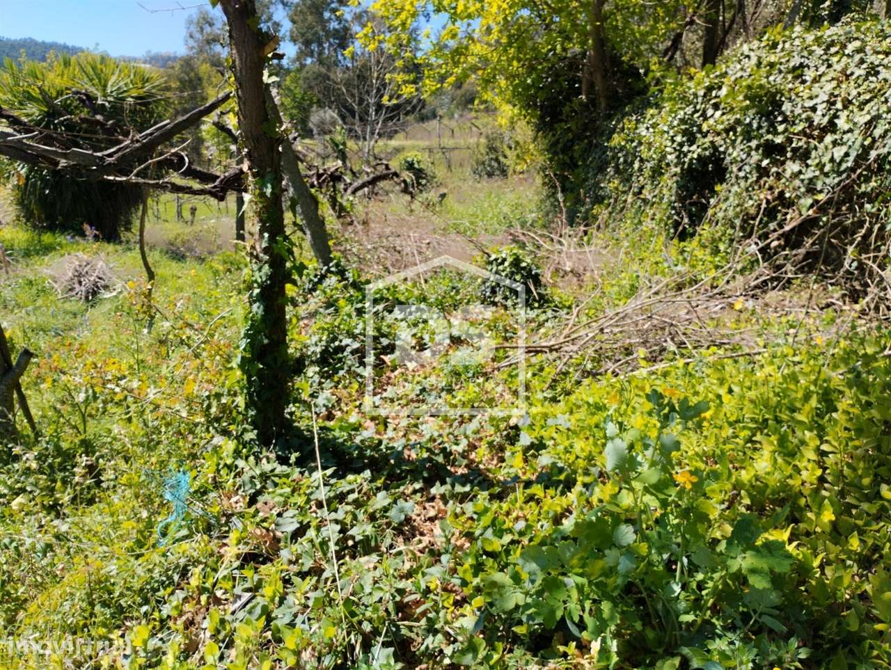 Moradia T1 Venda em Telões,Amarante-8