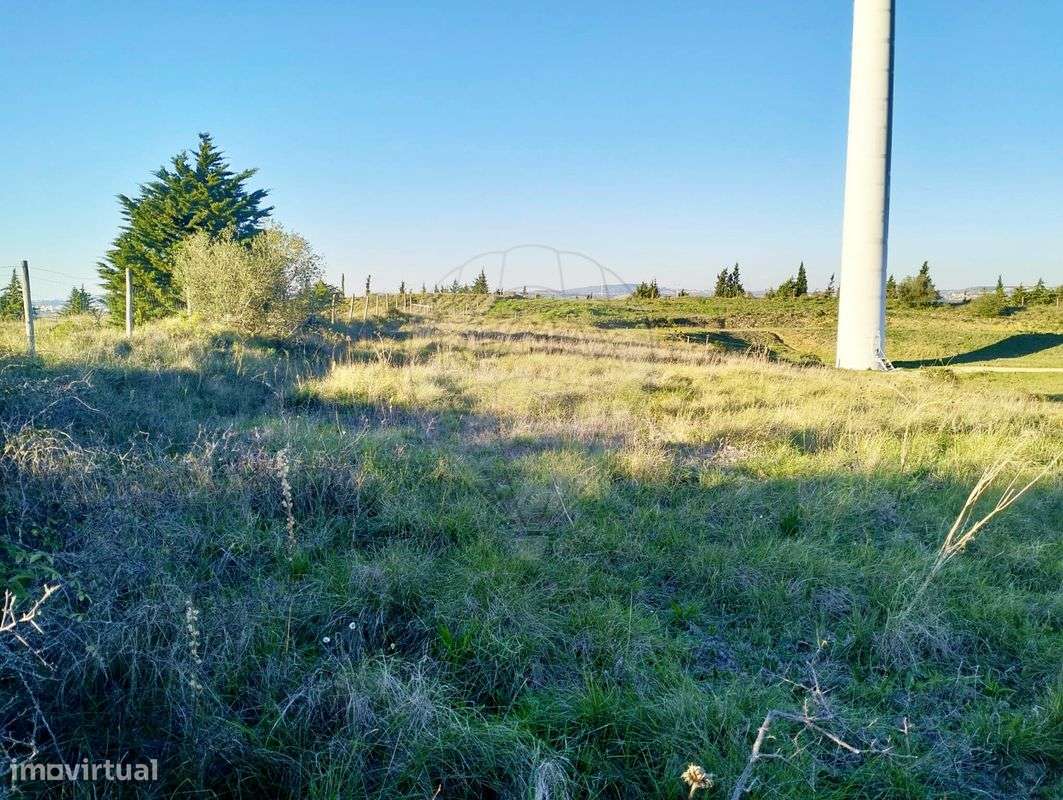 Terreno  para arrendamento - Grande imagem: 4/10