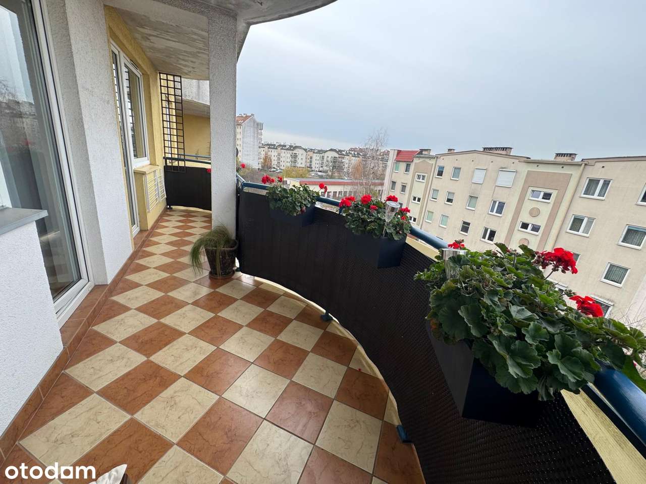 Komfortowe mieszkanie 3 pokojowe na osiedlu Górczyn-18