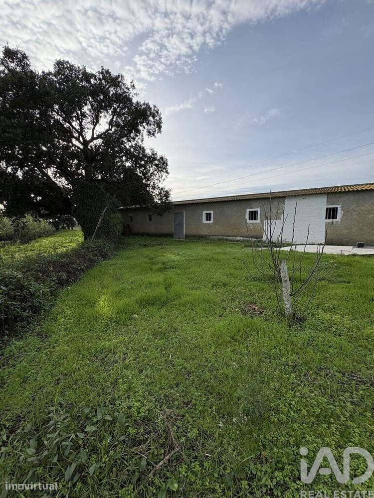 Terreno Agrícola em Montijo e Afonsoeiro - Grande imagem: 4/4