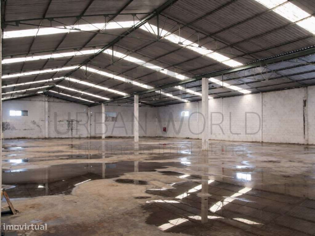 Armazém, Chamusca - Santarém, 4.665m2-8