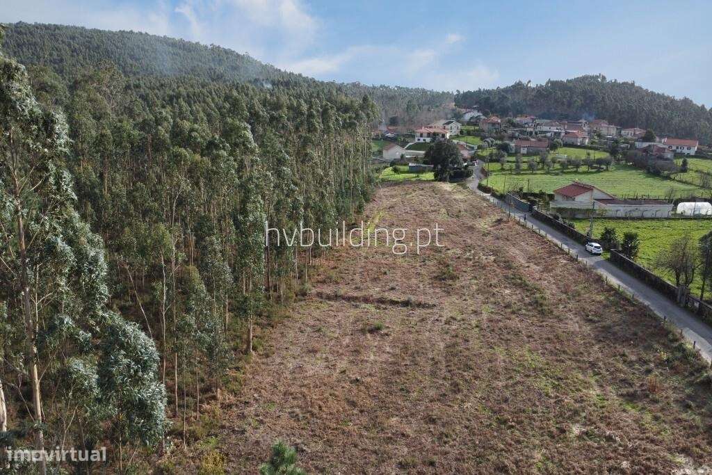 Terreno com potencial de investimento em Igreja Nova, Barcelos - Grande imagem: 4/7