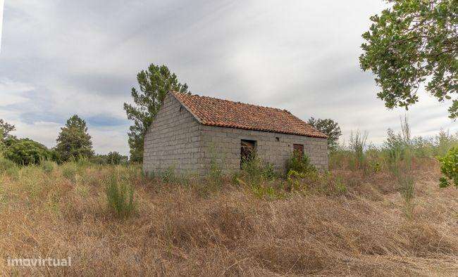 Terreno rústico-8