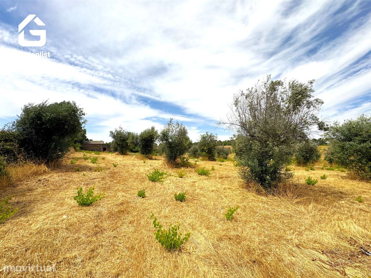 Quintinha  Venda em Escalos de Cima e Lousa,Castelo Branco-27