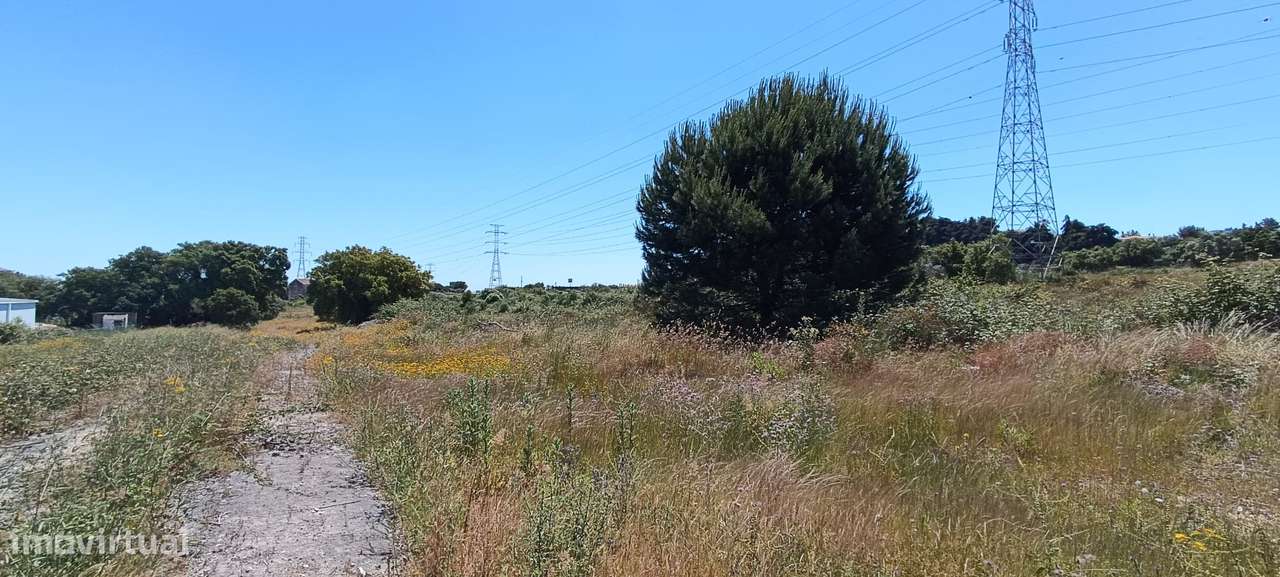 Terreno Rústico – Palmela-4