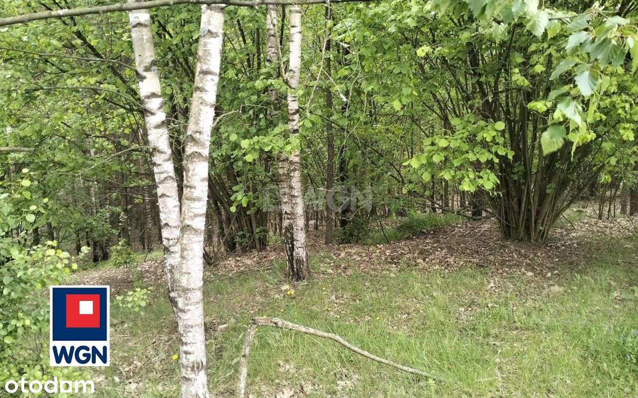 Działka, 46 798 m², Kąciki - Pełny obrazek: 5/20