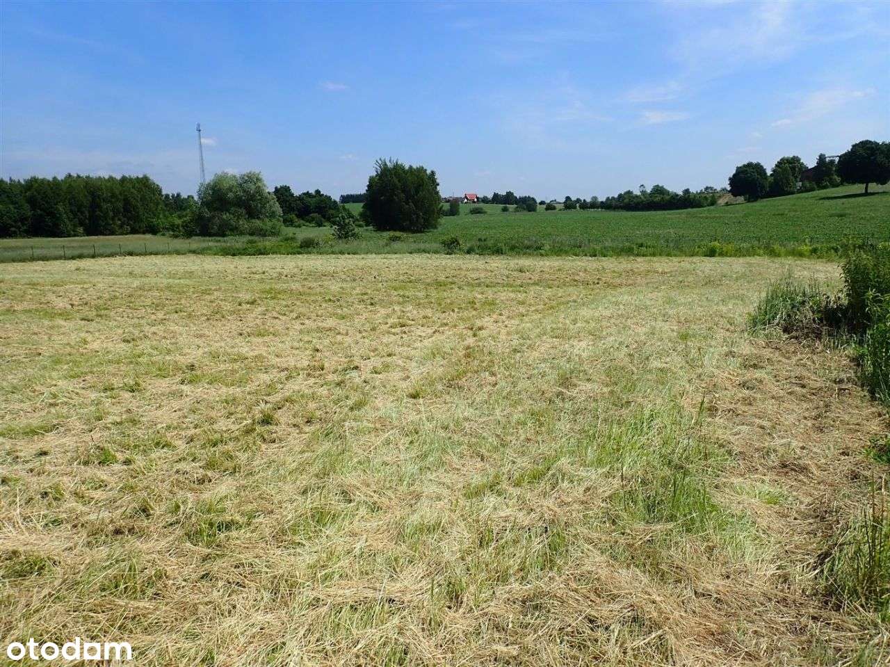 Działka budowlana Rybnik Czernica 7924m2 MPZP pozwolenie  projekt - Pełny obrazek: 5/17