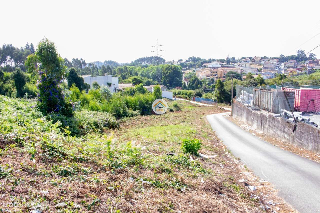 Terreno para Venda em São Paio de Oleiros – Oportunidade de Investimen - Grande imagem: 3/12