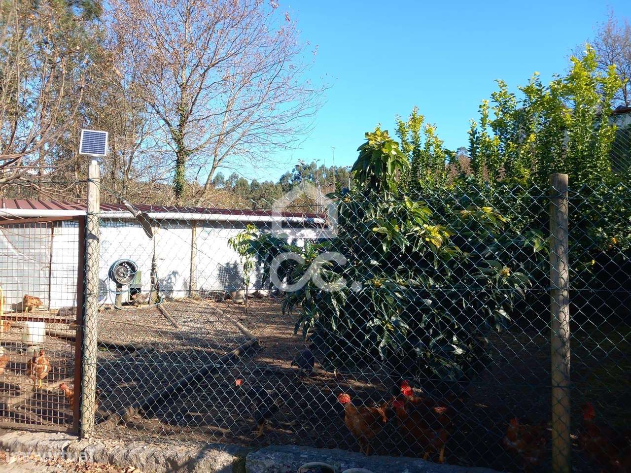 Moradia Totalmente em Pedra em Revelhe (Fafe)  Excelente oportunidade-33