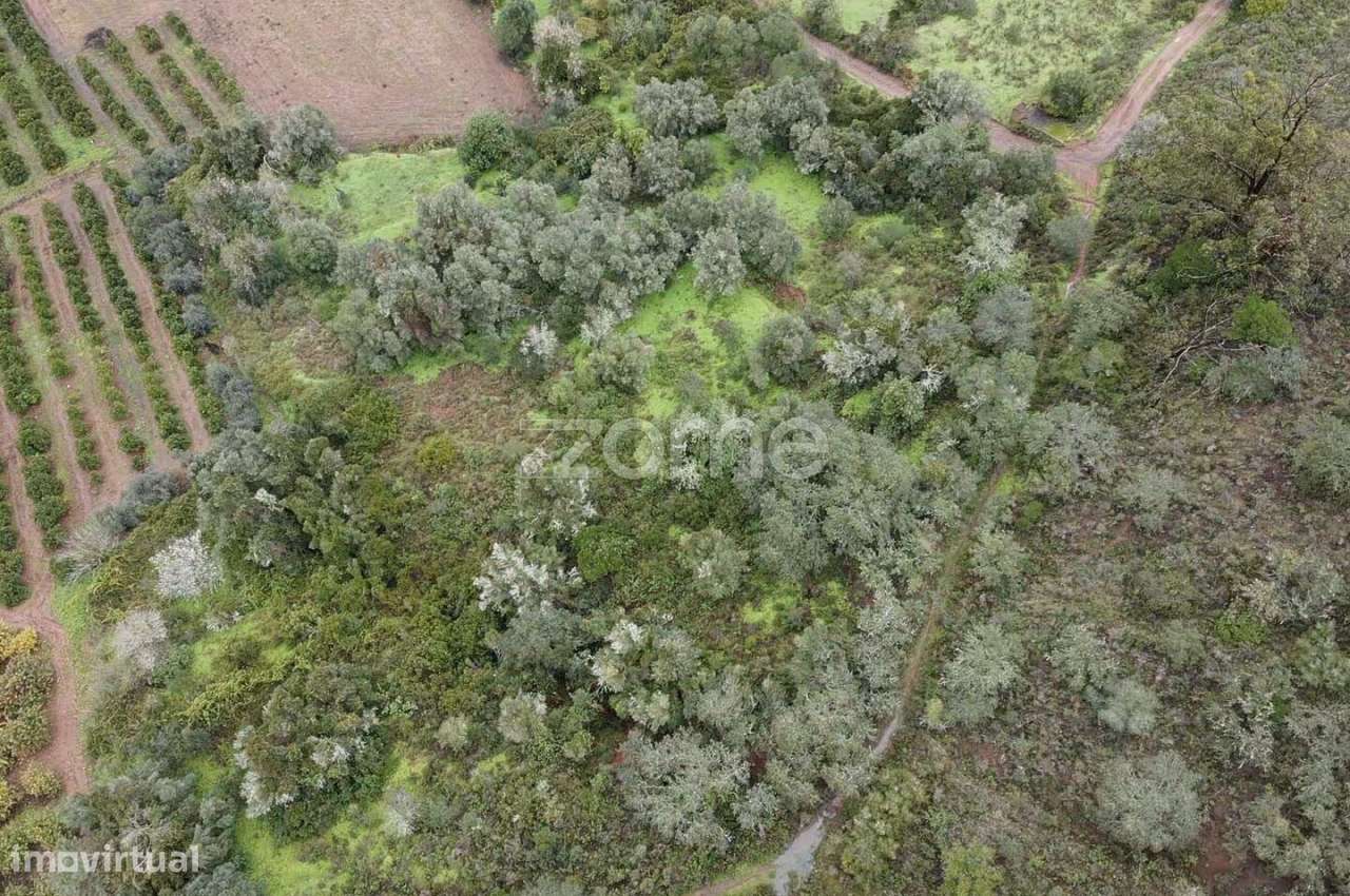 Terreno Rústico com 2.600m2 em Ladeira da Cumeada, Messines - Grande imagem: 3/15