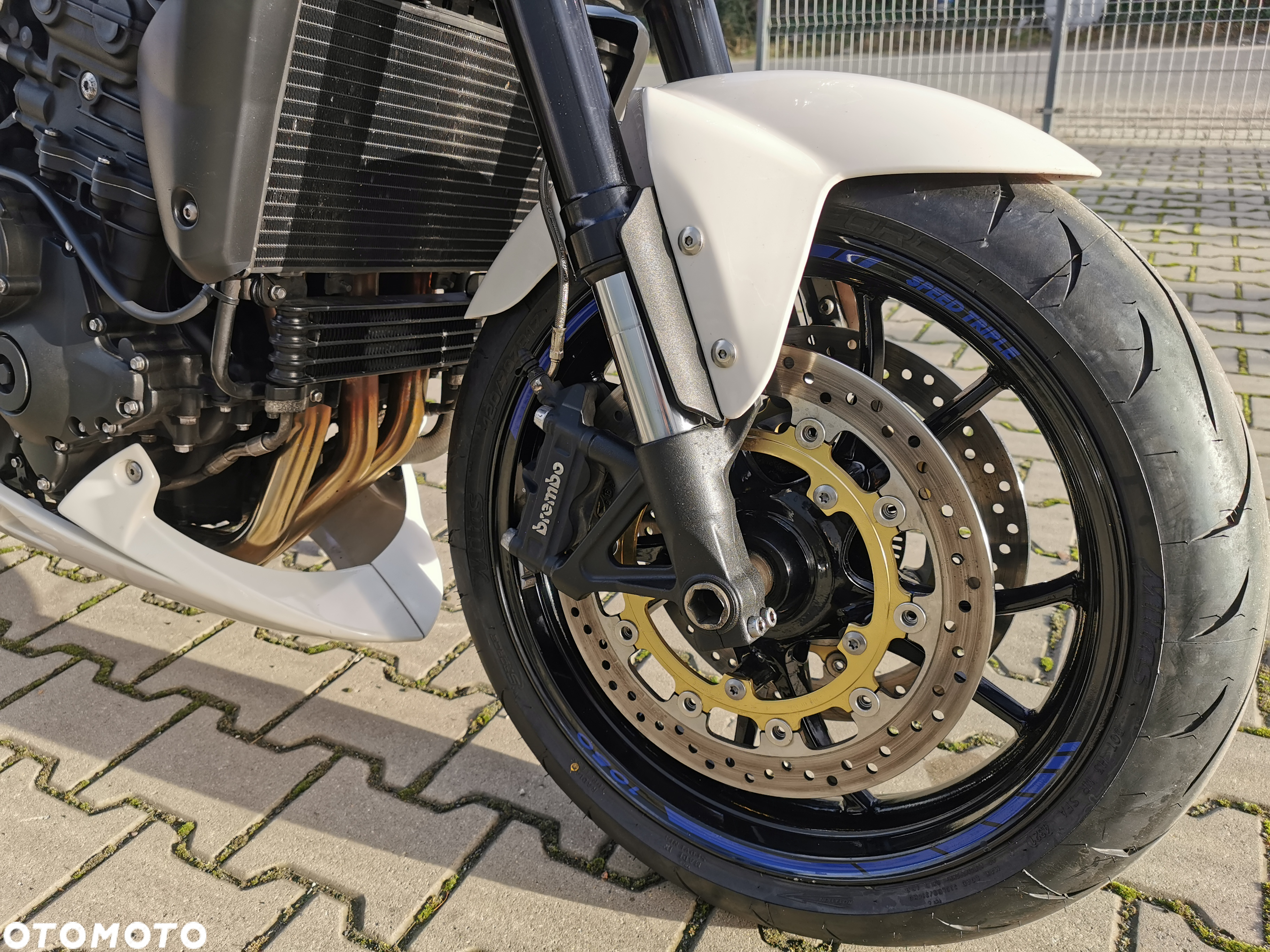 Triumph Speed Triple - 11