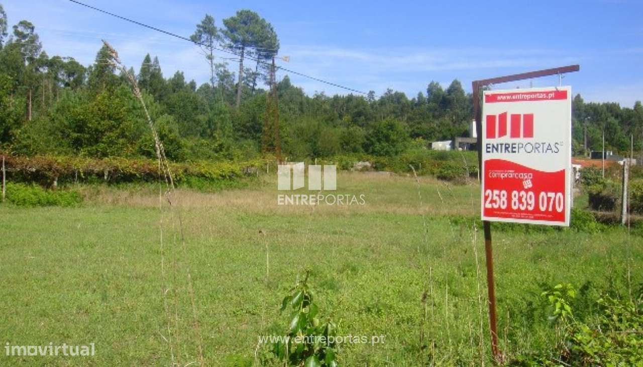 Terreno Agrícola - Vila Fria - Grande imagem: 3/4
