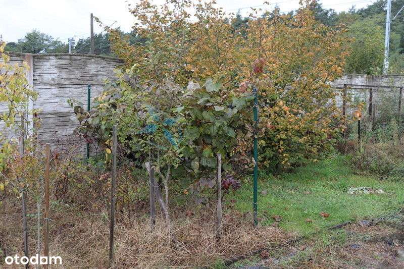 Działka  pozwoleniem na budowę 808m2+ Dom - Pełny obrazek: 4/4