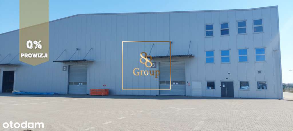 Do wynajęcia magazyn 580m2 w Lesznowoli - Pełny obrazek: 4/4