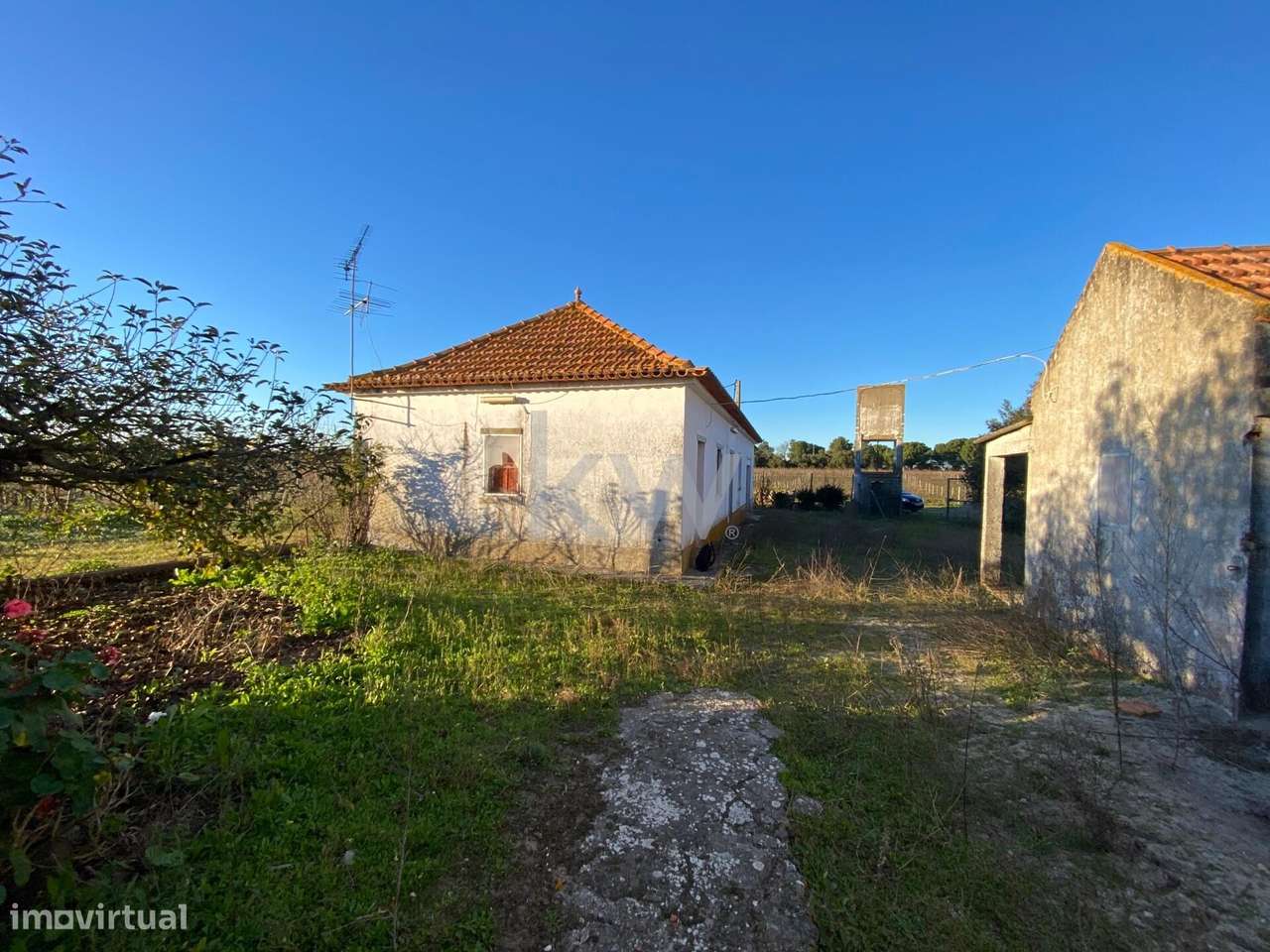 Quinta - Vinícola - Grande imagem: 4/29