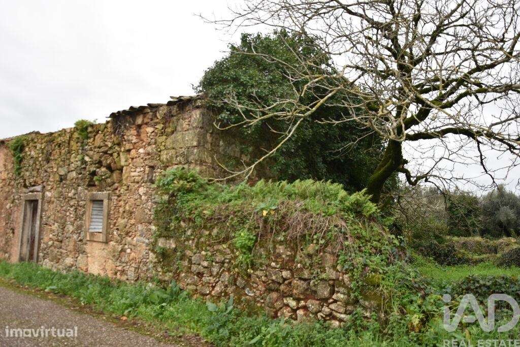 Casa / Villa T1 em Areias e Pias de 160,00 m2 - Grande imagem: 5/24