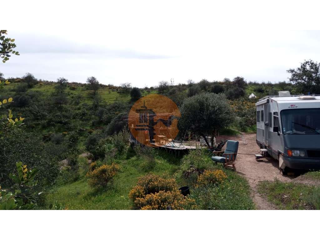 TERRENO COM 27.600 M2 - JUNTO AO LAGO - POSSIBILIDADE DE CONSTRUIR ... - Grande imagem: 3/60