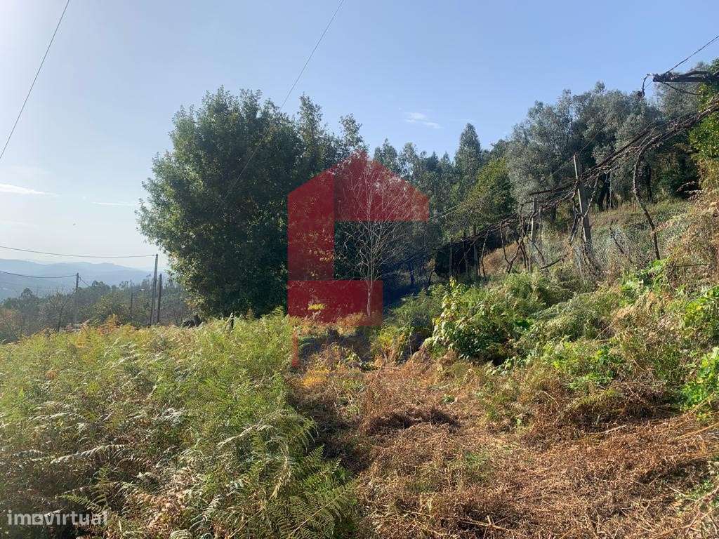 Terreno para construção - Grande imagem: 5/19