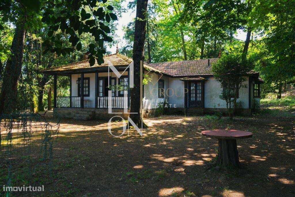 Magnífica Quinta Murada em Vila Nova de Famalicão – Oportunidade de In - Grande imagem: 3/25