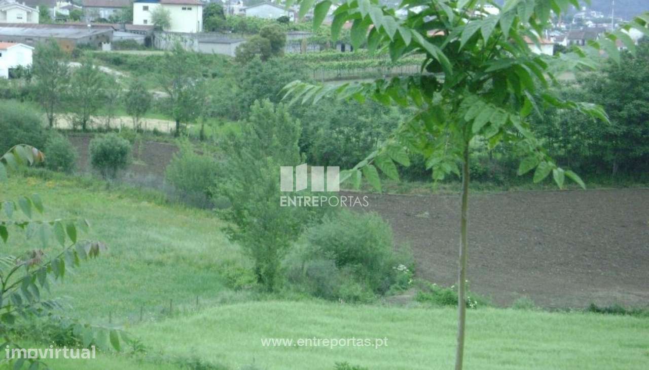 Venda Terreno, Freixo de Baixo, Amarante - Grande imagem: 4/9