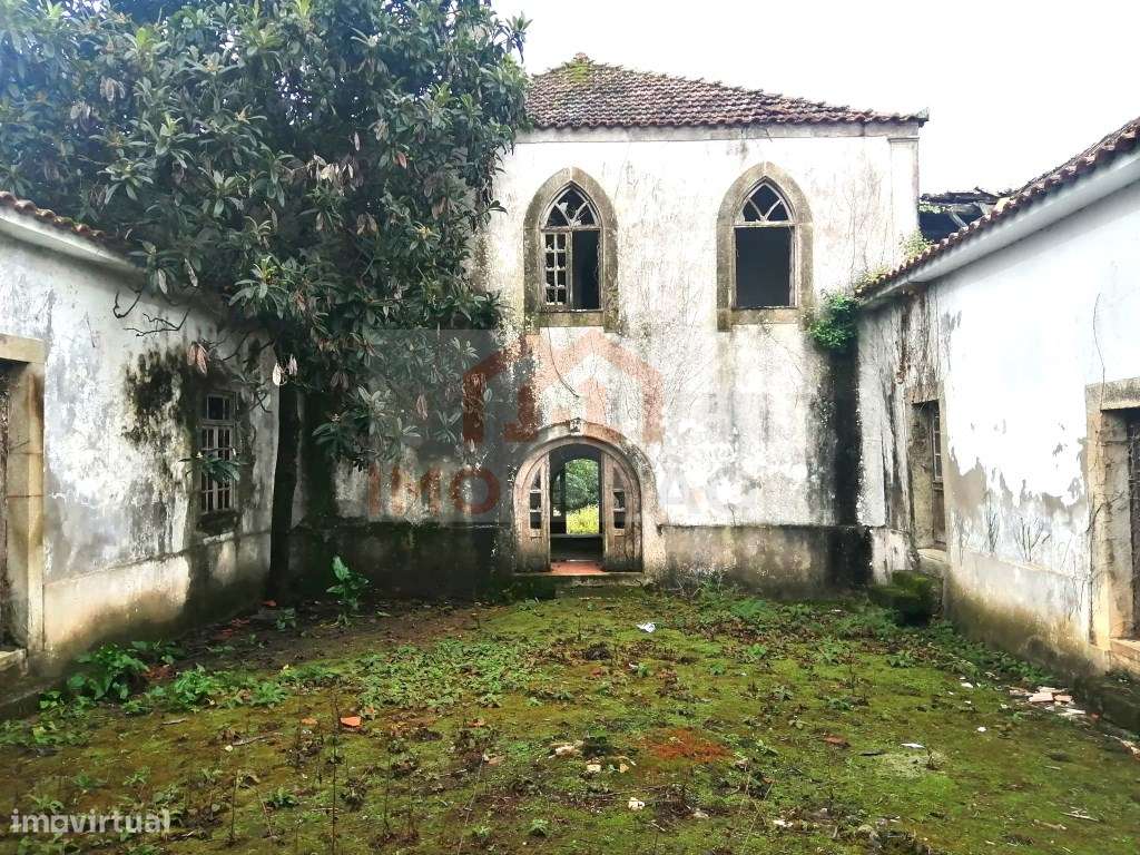QUINTA - GIÃO-23