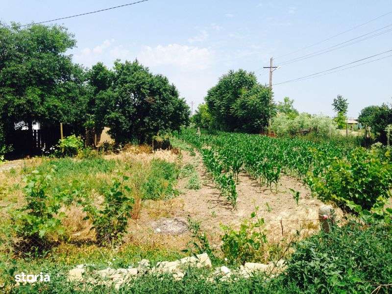 Teren intravilan de vanzare in localitatea Lunca, jud. Tulcea - Imagine principală: 5/5